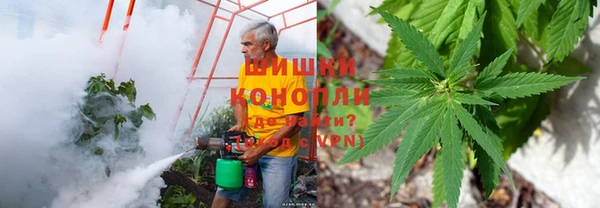 альфа пвп Володарск