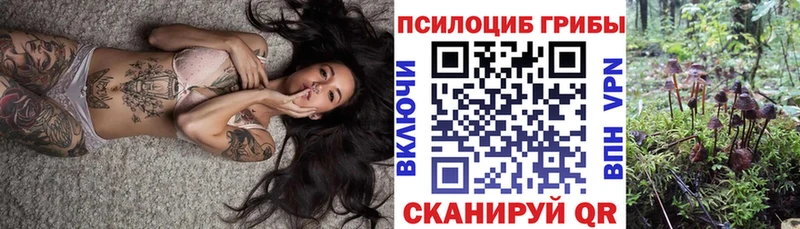 Купить где  Нестеровская  Галлюциногенные грибы Psilocybine cubensis 